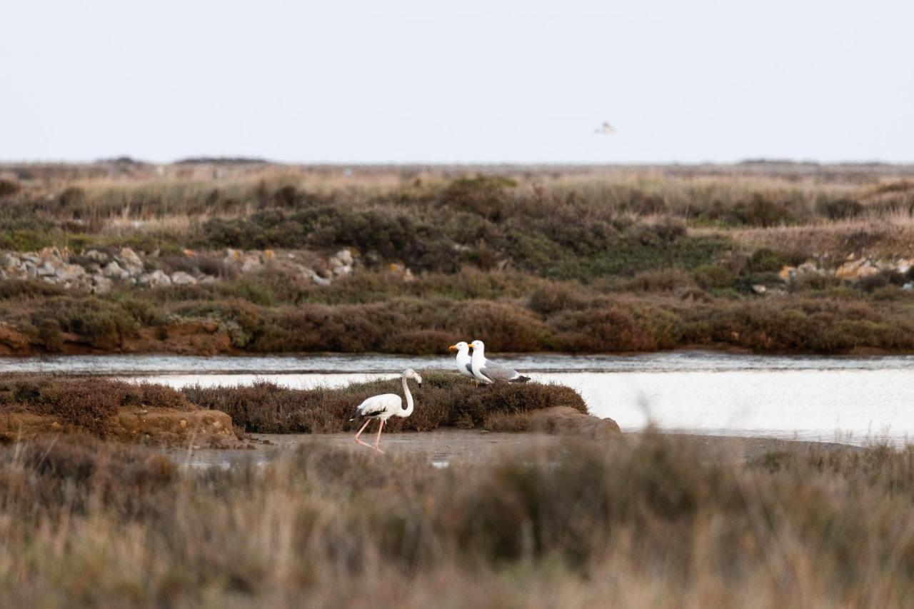 Vvf Narbonne-Plage Saint-Pierre-La-Mer Fleury  Dış mekan fotoğraf